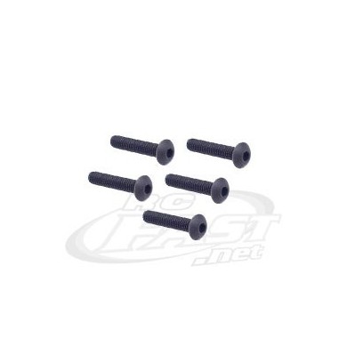 Parafuso 4x20mm Bloco de Direção XTM Rail