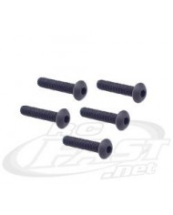 Tubo Alum Central da Gaiola XTM Rail