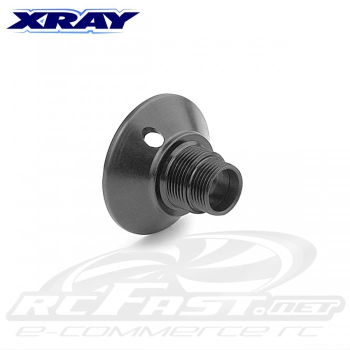 Campana dos Pinhões Xray NT1