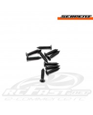 Parafuso Philips Soberbo Cabeça Chata 2.5x12mm Serpent