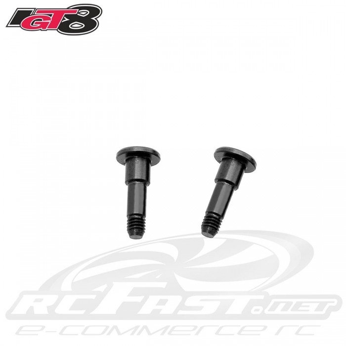 Parafuso do Salva Servo IGT8