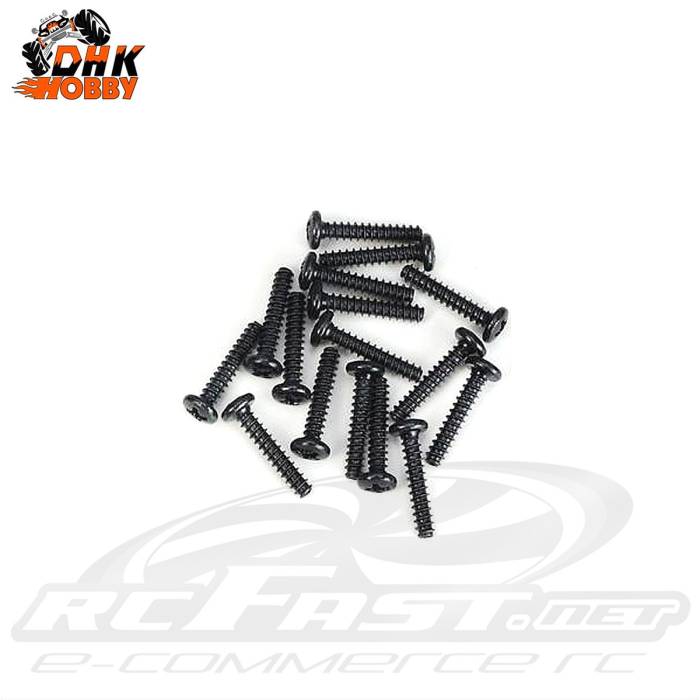 Parafuso Philips 3x16mm Cabeça Abaulada Soberbo DHK