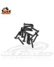 Parafuso Philips 3x12mm Cabeça Chata Soberbo Dhk