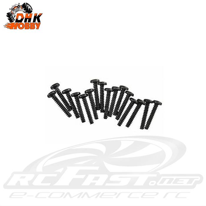 Parafuso Philips 3x20mm Cabeça Abaulada Soberbo DHK