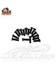 Parafuso Philips 3x10mm Cabeça Abaulada Soberbo DHK